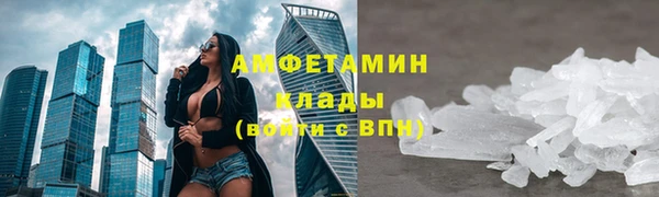 спиды Богданович