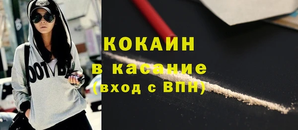 спиды Богданович