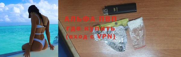спиды Богданович