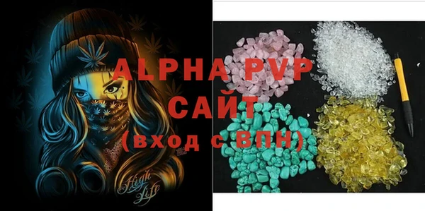 спиды Богданович