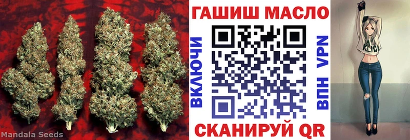 ТГК гашишное масло  Купить где  Межгорье 