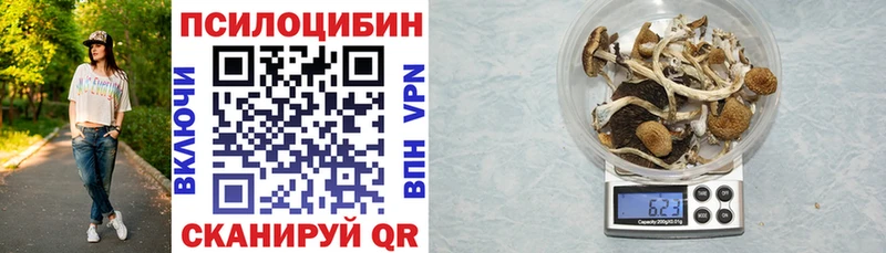 Псилоцибиновые грибы прущие грибы  Купить  Межгорье 